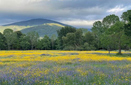 Quinta do Areal - Foto 72