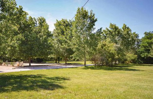 Les Piboules - Foto 16