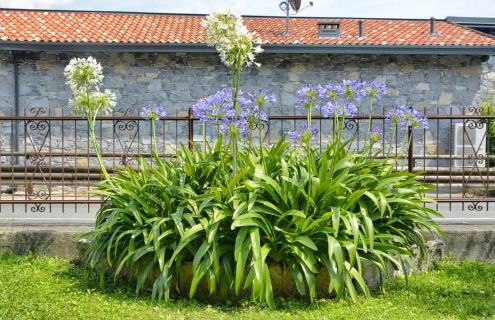 Casa Giardino fiorito - Foto 3