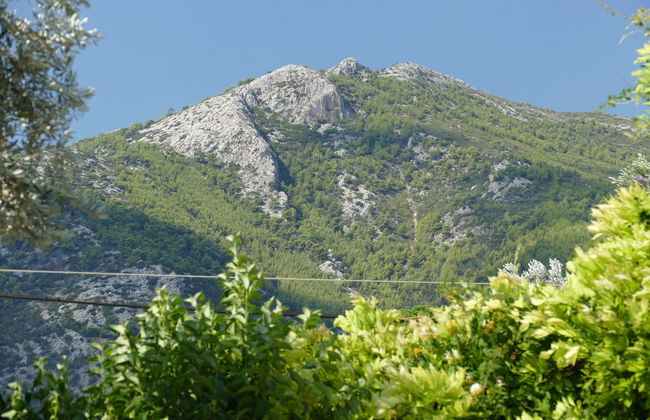 esperides holidays - Foto 50