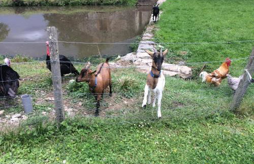 GÎTE Les Buis - Foto 21