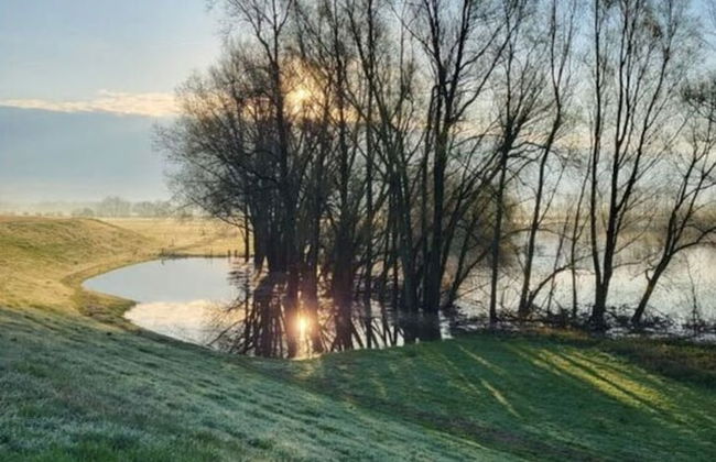 Holiday Home Chalet 79 - Photo 11