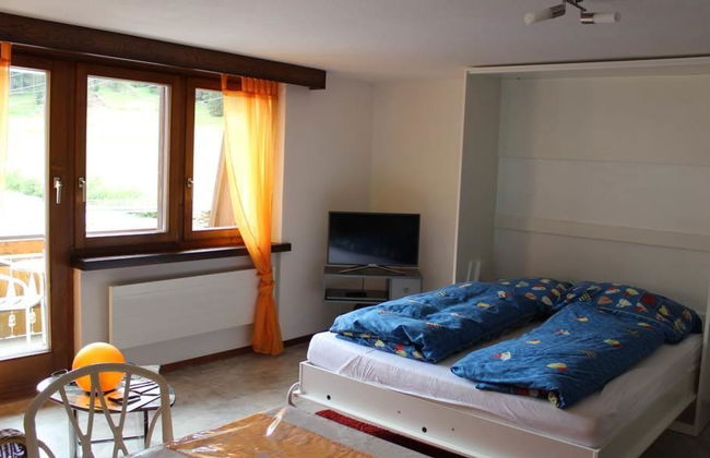 Silberdistel - Foto 8