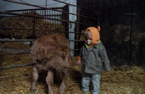 Casa Rural el Ribero I - Photo 24