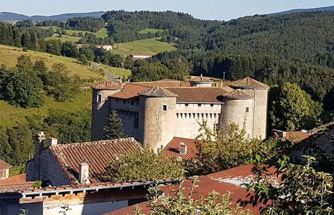 Château des Marcilly Talaru - Foto 48