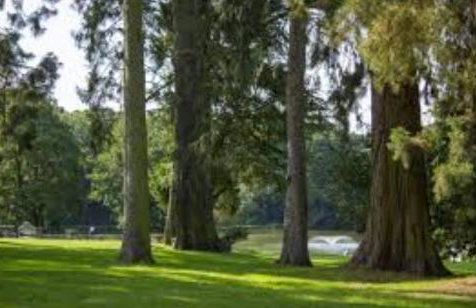 Lakes and woodlands Overstone Holiday Park - Foto 47