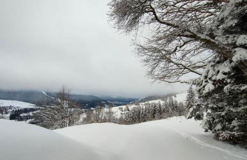 Gîte spacieux à 2 km des pistes de ski - Foto 16