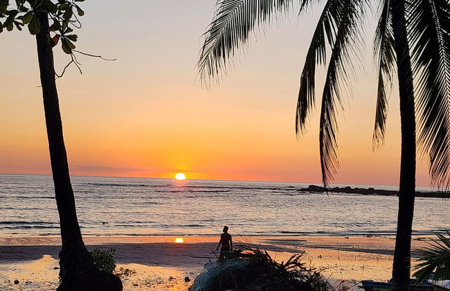 Casa Azules Jungle Villa 3 piscinas - Foto 15