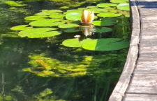 Sowi Dworek - Foto 16