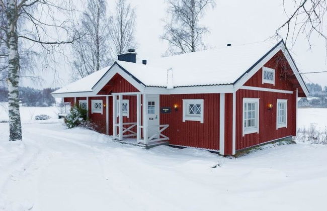 Peltosirkku - Foto 17