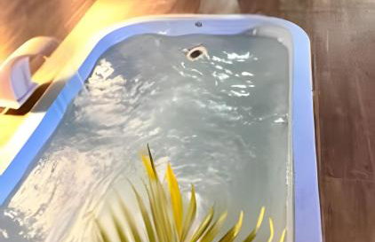 Cobertura com piscina, sauna e churrasqueira - Foto 6