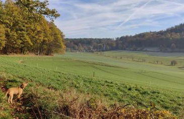 Charmantes Forsthaus beim Sorpesee - Foto 42