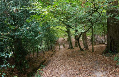 Amos Lodge Deluxe Accommodation - Photo 31