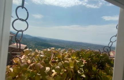 Luxury Apartment - Photo 35