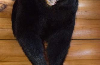 Spectacular Vermont Mountain Retreat! - Foto 21