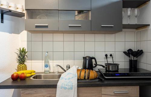 Luxus City Apartment Sauna Balkon Küche Zentral - Foto 25