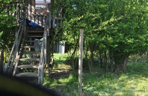 Kleiner Stern - Foto 14