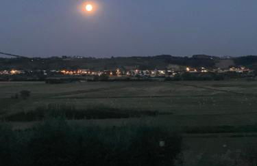 Locazione turistica Casa olivo - Foto 12