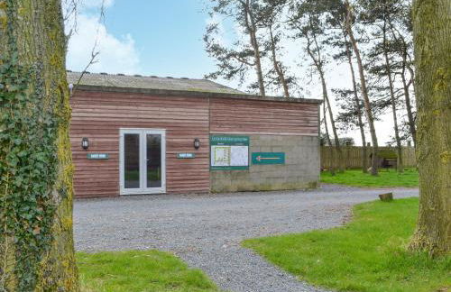 Mischief - Uk49322 - Foto 11