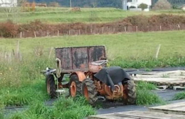 Agroturismo Ibarrondo Etxea - Foto 28