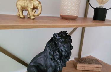 Gîte Animals King'Dôme 8min du Zoo de Beauval - Foto 44