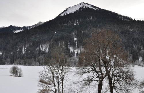 2 Pièces Près des Remontées avec Mezzanine et Parking - FR-1-692-8 - Photo 2