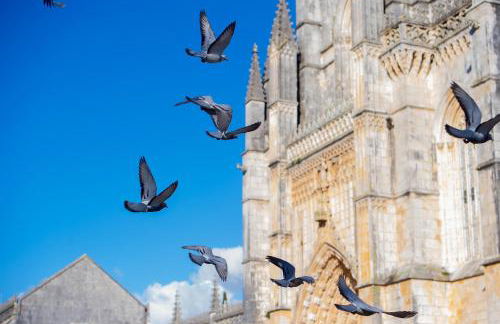 Batalha - Ferreiras Apartment - Photo 11