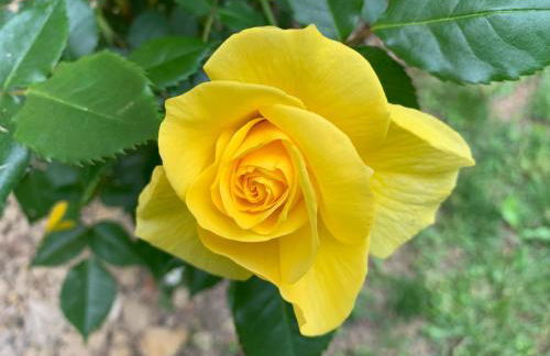 Majellon Appartement Sud - Photo 10