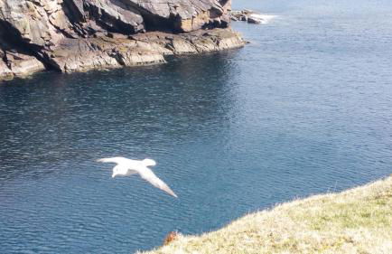 Voortrekker Shetland Holiday Apartments - Foto 11