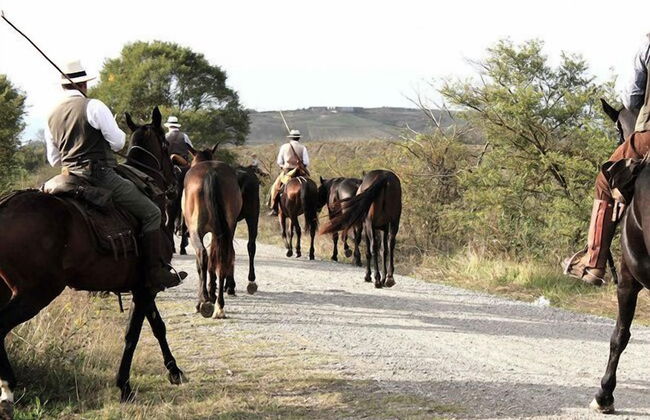 Villa di Leonardo - Photo 25
