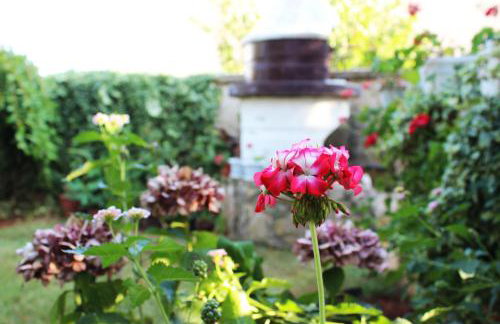 Apartments Cavae Romanae - Foto 29