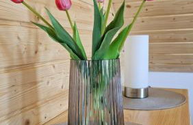 Domki Pod Sosnami Stare Kiejkuty - Foto 28