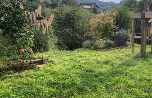 Bee Home - Foto 34