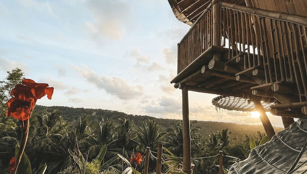 Terrenos do alojamento