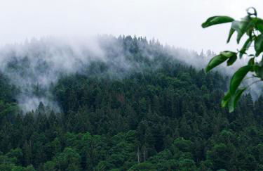 Zum Kistlerwirt - Foto 34