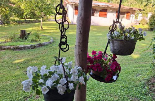 Alla Capannina - Foto 9