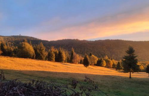 Gorczańskie Domki - Photo 38