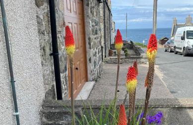 House By The Sea - Foto 15