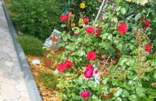 Ferienwohnung Nordsee-Feeling - Foto 23