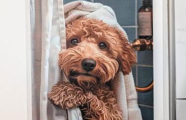 Spacious duplex retreat in city w/ Parking nearby - Foto 34