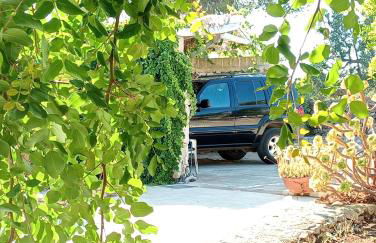 Al Marchello offline - Foto 12