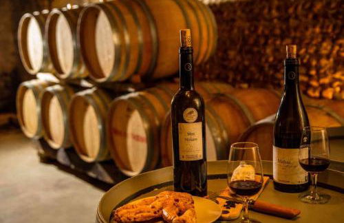 Mas du Notaire - Photo 51