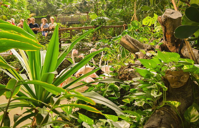 Tropical Islands Resort - Foto 78