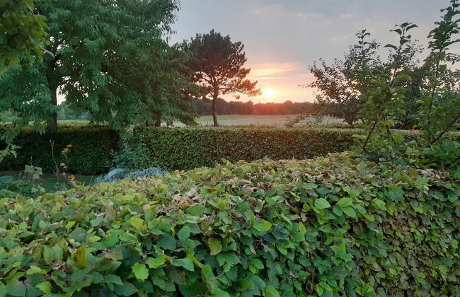 "fjordhus - on an Island Shaped as a Hart in the Middle of Isefjord - Sealand" - Foto 40