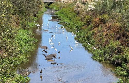 Acolhedora casa de férias T2 com espaço exterior - Foto 49