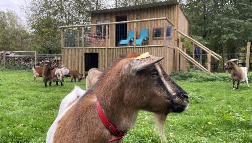 Le Cabanon - Photo 3