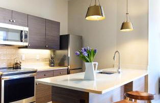 The Docent's Collection - Photo 47