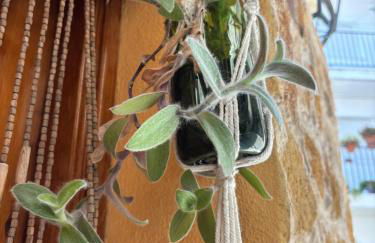 Casa Artista - Foto 16