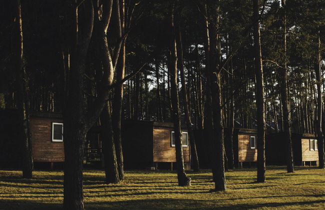 Stara Wieś Resort & Odnowa - Foto 48