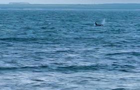 4 Sinclair bay lodges - Foto 8